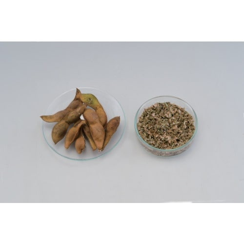 WARING 7011HBC ボトルブレンダー 2