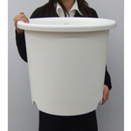 IRIS 161498 ディーポット 14号 ホワ