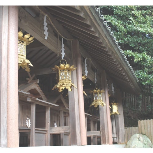 ワニ印 柱養生材 まんまるガード S ブラウン 長