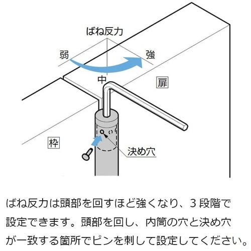 SUGATSUNE (170022484)PM12