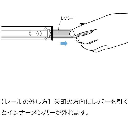 SUGATSUNE (190033969)ESR4
