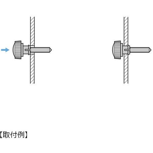 SUGATSUNE (100011914)DBN6