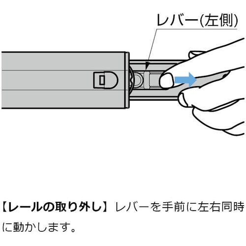 SUGATSUNE (190027554)3660