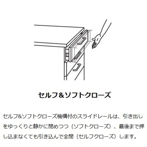 SUGATSUNE (190012984)L521