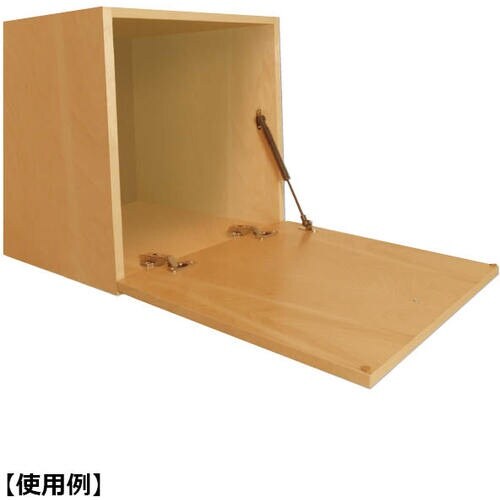 SUGATSUNE (180025011)7002