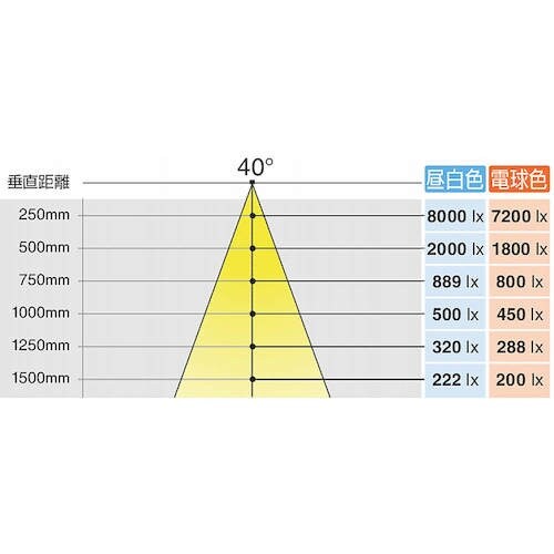 SUGATSUNE (220024165)SL−R