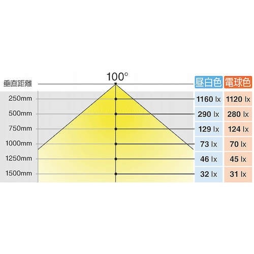 SUGATSUNE (220019514)SL−R