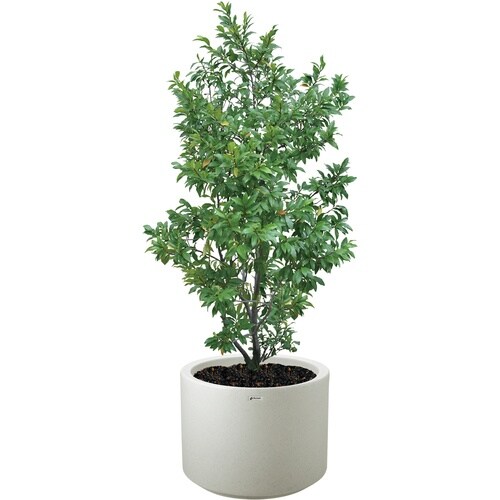 リッチェル タウンプランターWS 丸90型 プレー