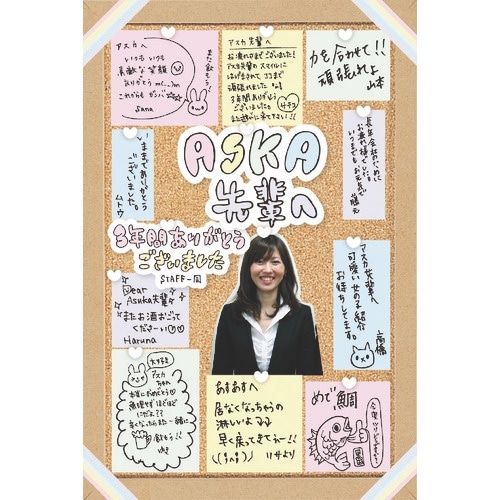 ASKA 両面コルクボード M