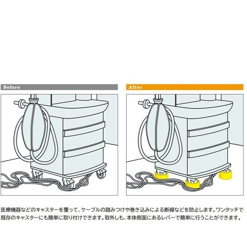 SUGATSUNE (200016338)A456
