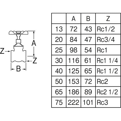 SANEI ゲートバルブ