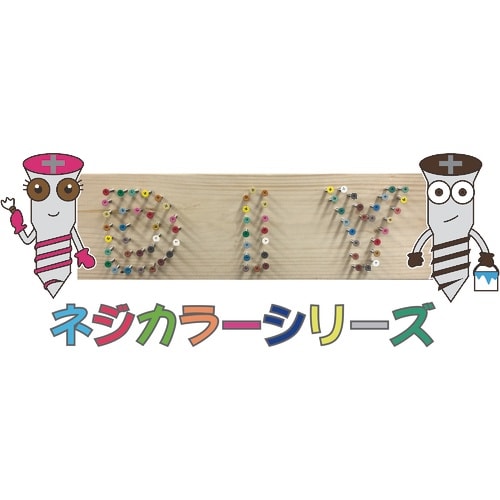 DAIDOHANT ネジカラー ステンレス低頭タッ