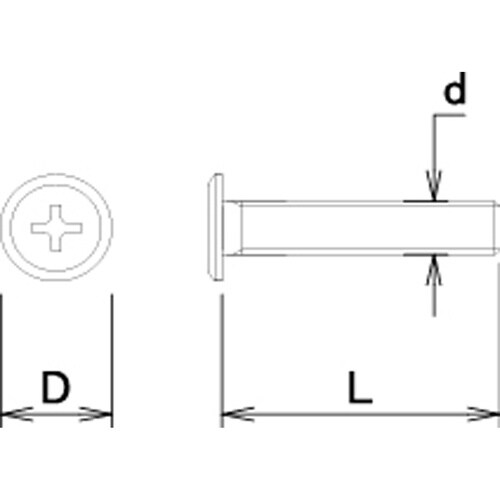 DAIDOHANT 超低頭小ネジ 3×25 10本
