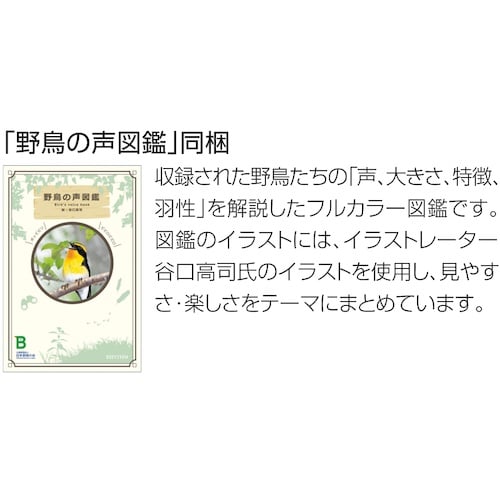 RHYTHM リズム 電波 壁掛け時計 日本野鳥の