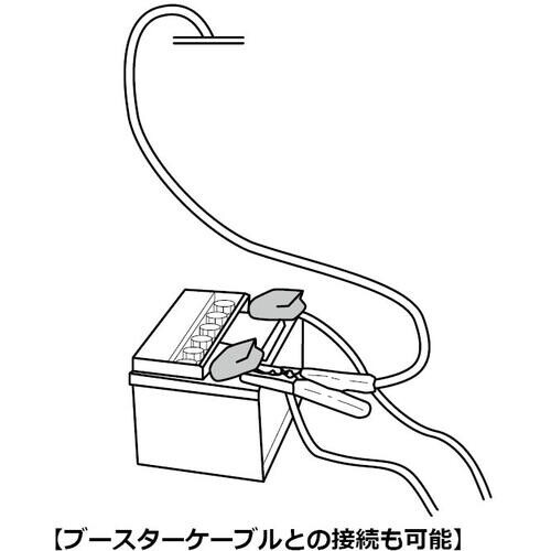SUGATSUNE (260034629)QP20