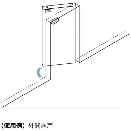 SUGATSUNE (260012997) M62