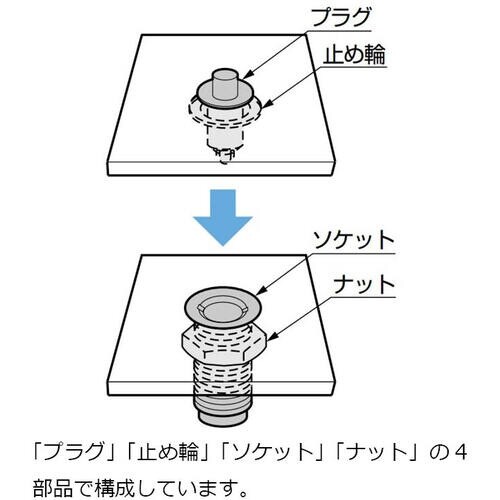 SUGATSUNE (120040300)255F
