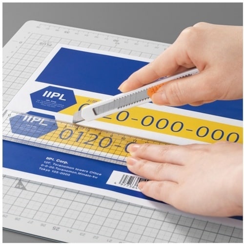 PLUS 48630)いつものラベル ノーカット