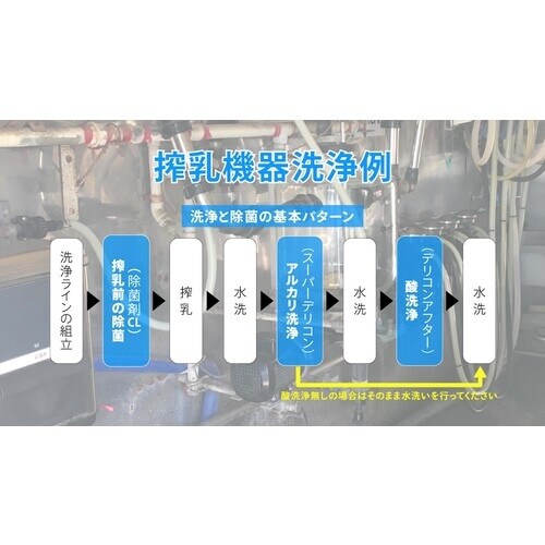 Linda スーパーデリコン