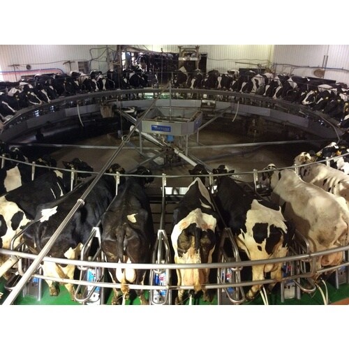 Linda スーパーデリコン