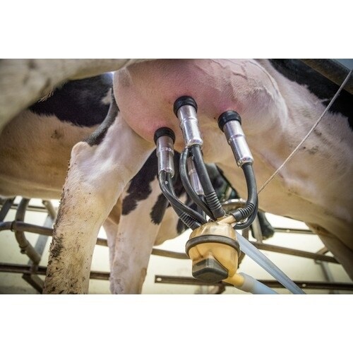 Linda スーパーデリコン