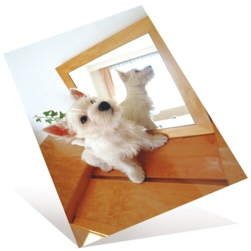 PLUS 46069)超きれいな光沢紙 IT−14