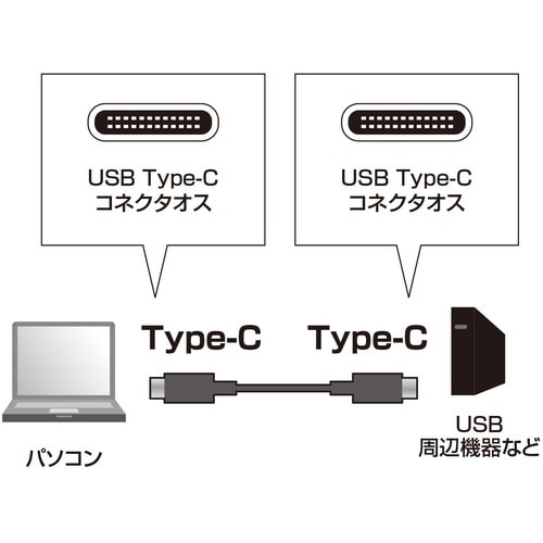 SANWA USB3.1Gen2TypeCケーブル