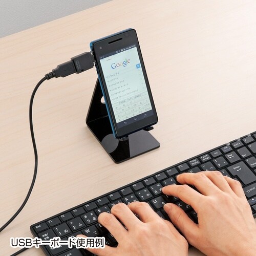 SANWA USBホスト変換アダプタ