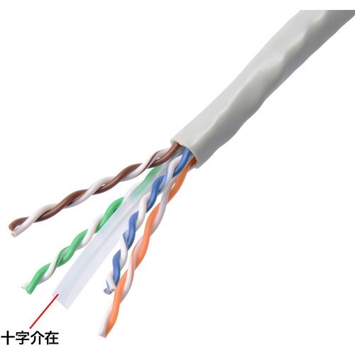 SANWA POEカテゴリ6LANケーブルのみ20