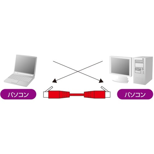 SANWA カテゴリ6UTPクロスケーブル
