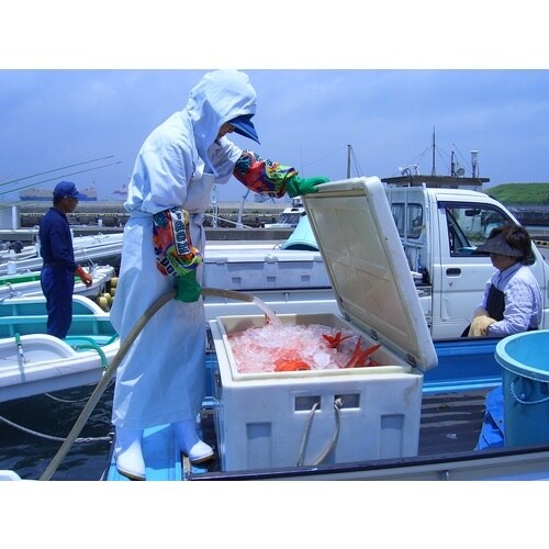 ダイライト 保冷容器 クールボックス 120L ホ