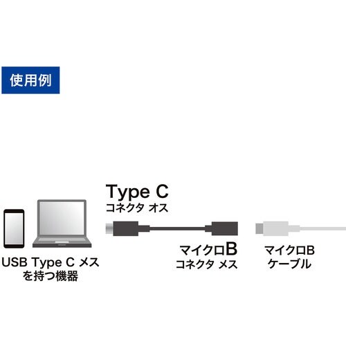 SANWA TypeCUSB2.0microB変換