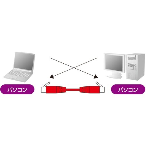 SANWA カテゴリ6UTPクロスケーブル