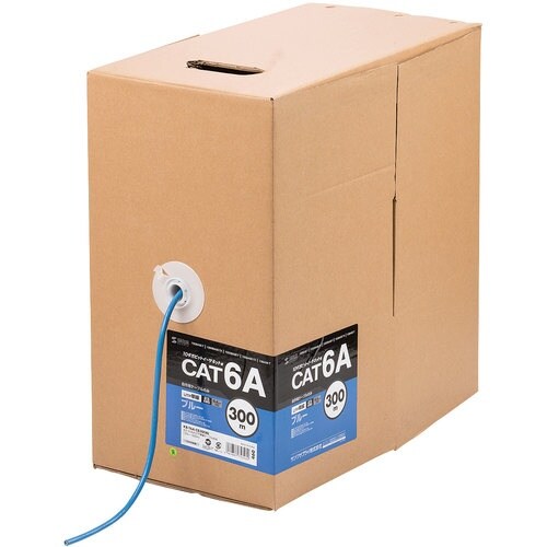 SANWA カテゴリ6A LANケーブルのみ