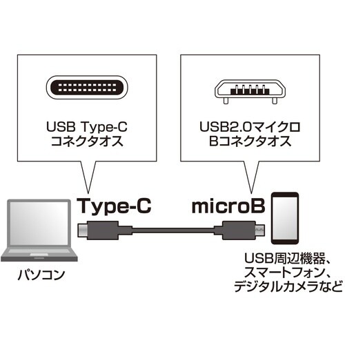 SANWA USB2.0TypeC−microBケ