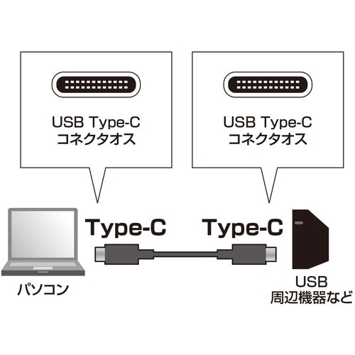 SANWA USB2.0TypeCケーブル