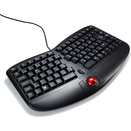 SANWA エルゴノミクスキーボード