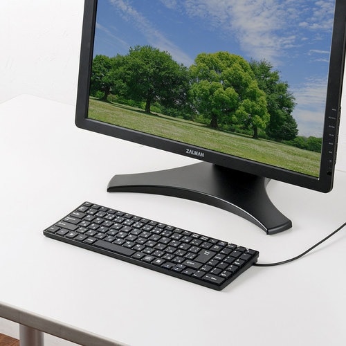 SANWA USBスリムキーボード