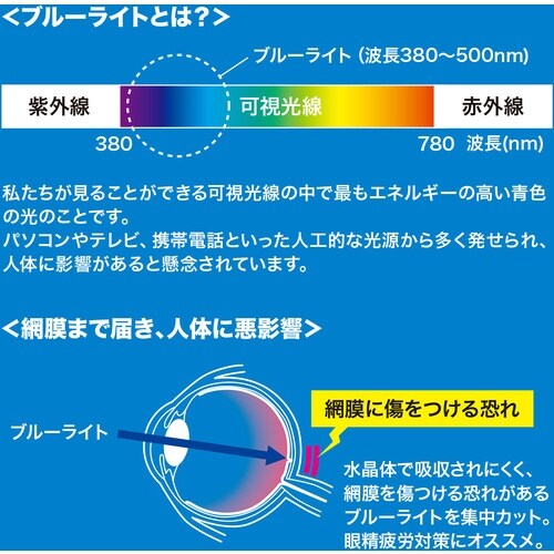 SANWA 23.0型ワイド対応ブルーライトカット