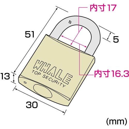 SANWA eセキュリティ(南京錠大No.1)