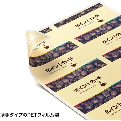 SANWA レーザープリンタ用プラスチックカード