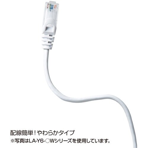 SANWA カテゴリ6UTPLANケーブル