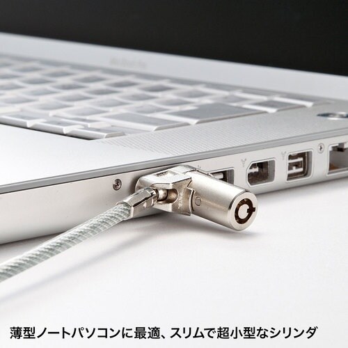 SANWA 超小型シリンダセキュリティ(eセキュリ