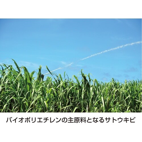 サンプラ バイオプラ PE広口ボトル 250ml(