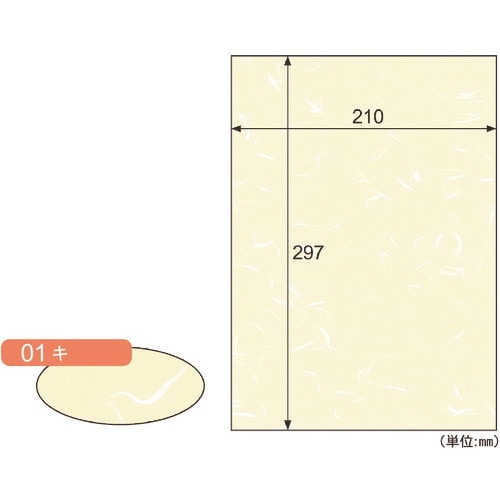 HISAGO クラッポイースト/キ