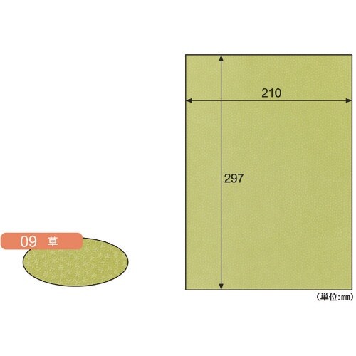 HISAGO クラッポ小染 はな/草