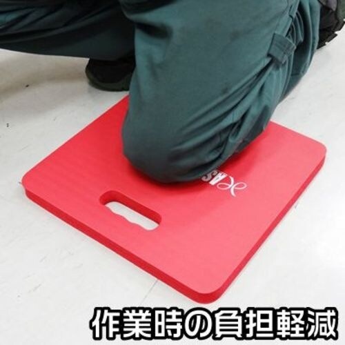 アストロプロダクツ クッションシート 赤