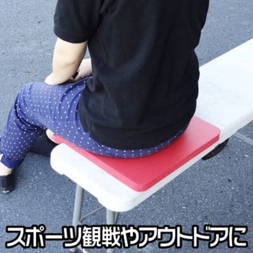 アストロプロダクツ クッションシート 赤