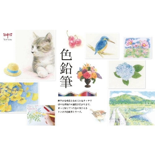 Tombow 色鉛筆 1500 単色 銀色 12本