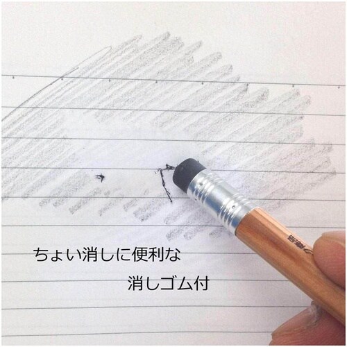 Tombow ゴム付鉛筆 木物語 HB 12本